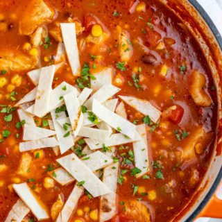 Chicken Tortilla Soup